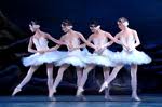 Swan Lake
